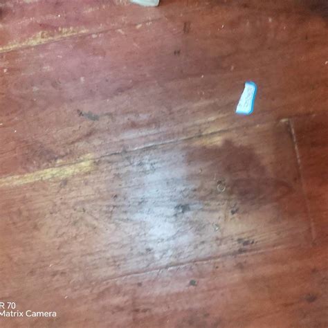 金年会体育 可持续材料运动装备
